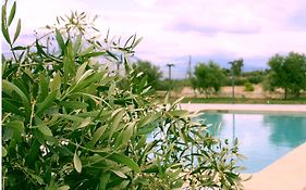 Petra Luxury Rooms And Apartments